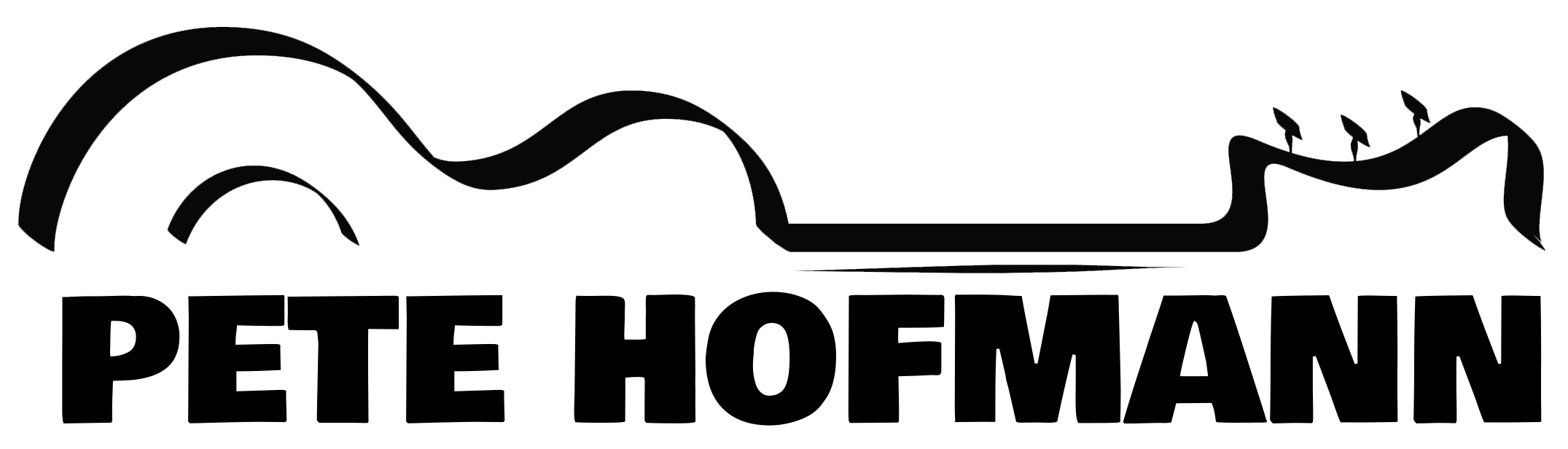 Pete Hofmann Guitarist